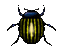 scarabe - Бесплатный анимированный гифка анимированный гифка