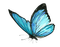 ✶ Butterfly {by Merishy} ✶ - бесплатно png анимированный гифка