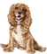 dog - png gratis GIF animado