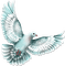 soave deco bird dove teal - ücretsiz png animasyonlu GIF