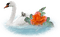 kikkapink swan lake flowers - Free PNG Animated GIF