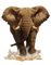 elefante by EstrellaCristal - zadarmo png animovaný GIF