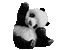 Bear Panda Baby 99999999 - Free animated GIF Animated GIF