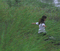 girl running thru grass into pond - GIF animate gratis GIF animata