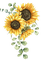 Sunflower.Tournesol.painting.Victoriabea - PNG gratuit GIF animé