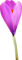 Kaz_Creations Deco Flowers Flower Pink - δωρεάν png κινούμενο GIF