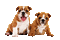 Kaz_Creations Animated Dog Pup - GIF animé gratuit GIF animé