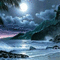 Rena animated Meer Water Nacht Night Hintergrund - Gratis geanimeerde GIF geanimeerde GIF
