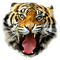 tigre - ücretsiz png animasyonlu GIF
