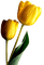 Flowers yellow bp - zadarmo png animovaný GIF