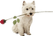 chien - gratis png animerad GIF