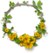 St. Patrick's Day Circle Frame - PNG gratuit GIF animé