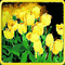 yellow milla1959 - Nemokamas animacinis gif animuotas GIF