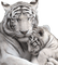 Kaz_Creations Animals-Tigers - Бесплатный анимированный гифка