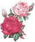 soave deco flowers rose branch vintage pink green - png gratis GIF animado