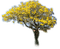 Rena yellow gelb tree frühling - gratis png animeret GIF