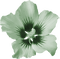 fleur verte.Cheyenne63 - Free PNG Animated GIF