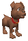 dog gif chien - Animovaný GIF zadarmo animovaný GIF