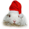 Christmas - ingyenes png animált GIF