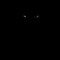 Pantera - Nemokamas animacinis gif animuotas GIF