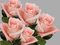 Rosas rosas - Ingyenes animált GIF animált GIF