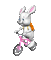 ani-hare-bunny - GIF เคลื่อนไหวฟรี GIF แบบเคลื่อนไหว