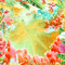 BG /  summer..anim..flowers.orange.idcae.multic - GIF animado gratis GIF animado