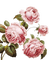 roses vintage - zadarmo png animovaný GIF