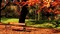 Kaz_Creations Backgrounds Background Autumn - besplatni png animirani GIF