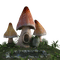 mushrooms, sieni - PNG gratuit GIF animé