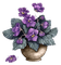 kikkapink vintage flowers deco spring summer - kostenlos png Animiertes GIF