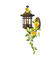 Kaz_Creations Deco  Flowers Flower Colours Lantern Light - PNG gratuit GIF animé