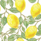 Background Lemon Gif - Bogusia - 免费动画 GIF 动画 GIF