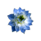 lotus flowers bp - gratis png animerad GIF