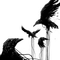 Raven - безплатен png анимиран GIF