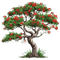 arbre - png gratis GIF animasi