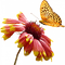 flower - bezmaksas png animēts GIF