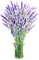 lavender Bb2 - zdarma png animovaný GIF