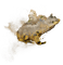 earth elemental frog with gold dust - zdarma png animovaný GIF