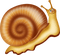 Kaz_Creations Snails Snail - zdarma png animovaný GIF