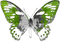 soave deco butterfly black white green - png gratis GIF animasi