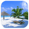 beach tropical  background sunshine3 - GIF animado grátis