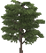 tree trees arbre arbres-tube__Blue DREAM 70 - Animovaný GIF zadarmo animovaný GIF
