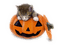 halloween - png gratis GIF animado
