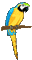 parrot katrin - Darmowy animowany GIF animowany gif