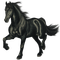 Horse - ingyenes png animált GIF