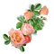 roses - zadarmo png animovaný GIF