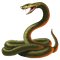 SERPENTE - 免费PNG 动画 GIF