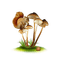mushroom cluster - GIF animé gratuit