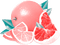 soave deco summer fruit pink teal - PNG gratuit GIF animé